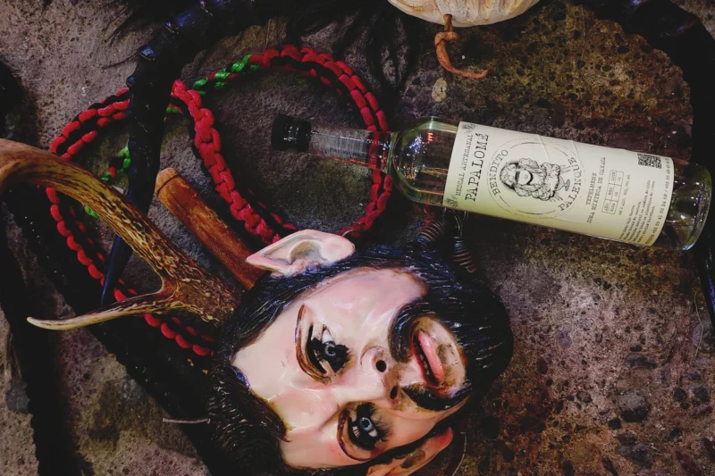 Bendito Palenque: Donde la Historia Familiar se Destila en Cada Gota