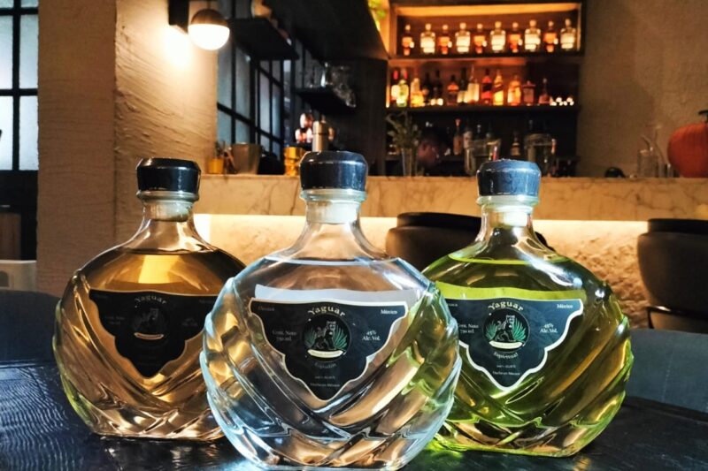 Mezcal Yaguar XT: Un Sabor con Historia y Propósito
