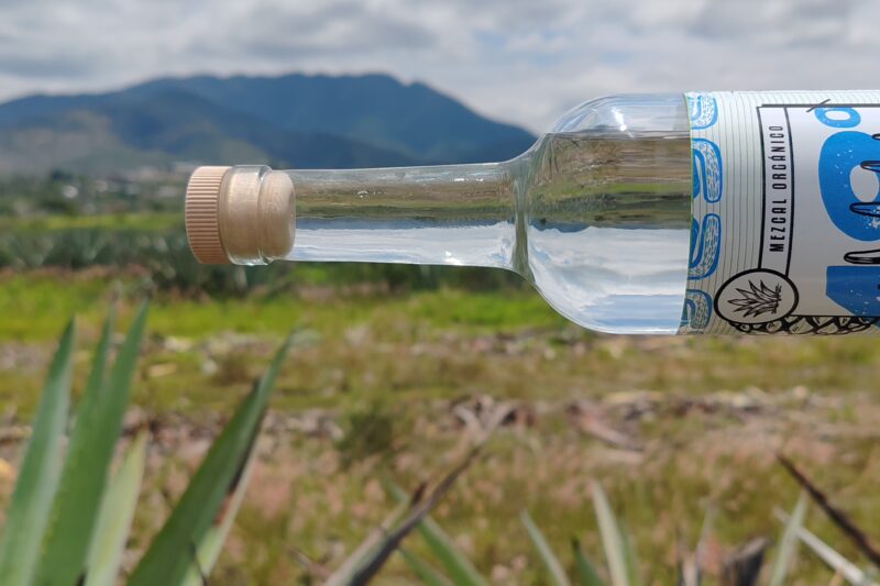 48 Locos: La «Locura» por Compartir la Tradición del Mezcal