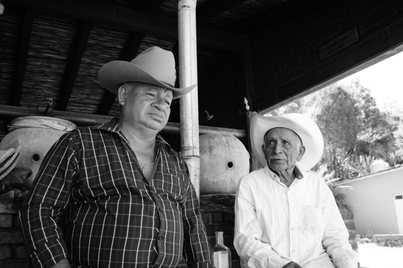 Finca Robles: 350 años de herencia líquida, de Sola de Vega para el mundo