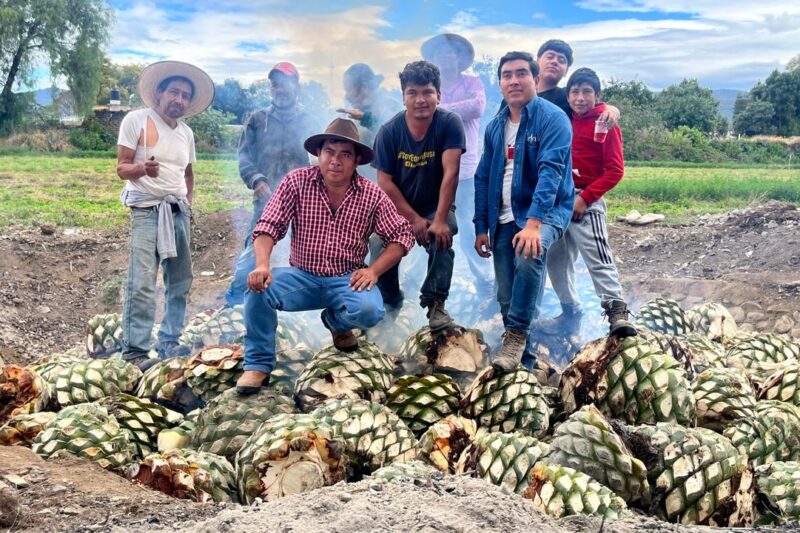 Maleficio en la Capital: El Reto de Posicionar el Mezcal de Autor en la CDMX
